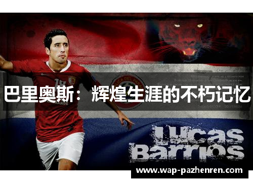 巴里奥斯：辉煌生涯的不朽记忆