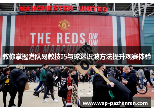 教你掌握港队易教技巧与球迷识波方法提升观赛体验