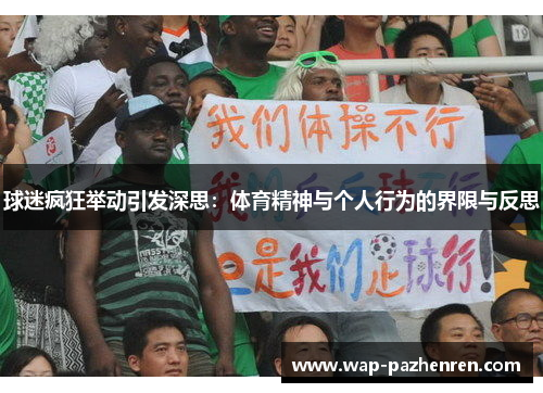 球迷疯狂举动引发深思：体育精神与个人行为的界限与反思