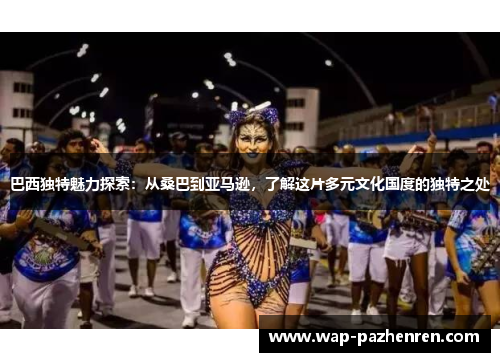 巴西独特魅力探索：从桑巴到亚马逊，了解这片多元文化国度的独特之处