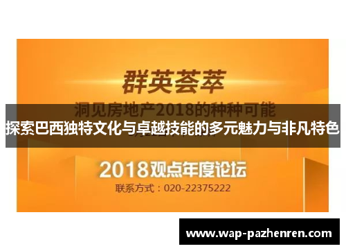 探索巴西独特文化与卓越技能的多元魅力与非凡特色