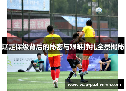 辽足保级背后的秘密与艰难挣扎全景揭秘